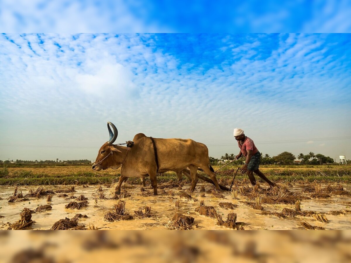 PM Kisan Samman Nidhi | 'या' दिवशी येणार PM Kisan निधीचा 11 वा हप्ता title=