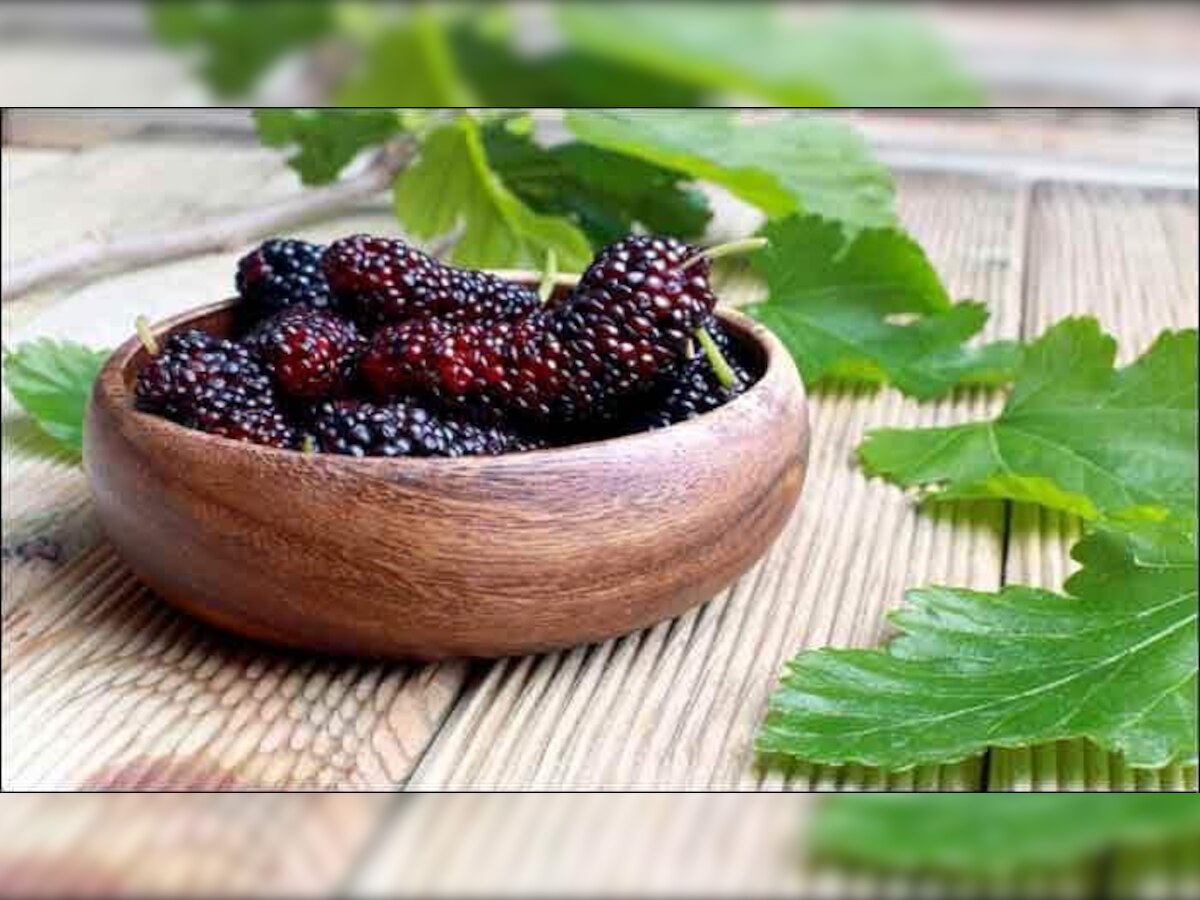 Mulberries Benefits: उन्हाळ्यात तुती खाण्याचे ५ मोठे फायदे title=