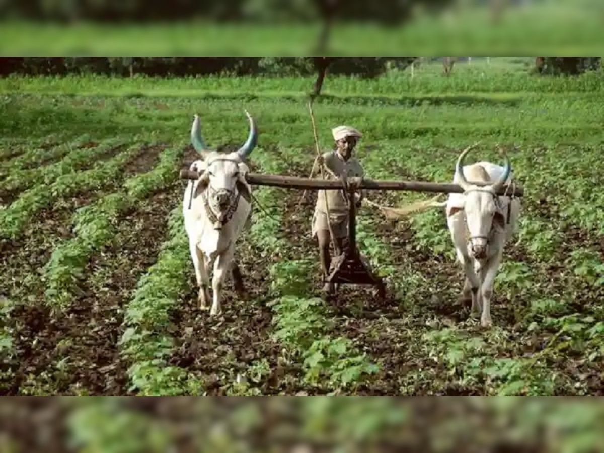 PM Kisan | योजनेच्या पात्र लाभार्थ्यांची यादी तयार; हे शेतकरी ठरतील अपात्र title=