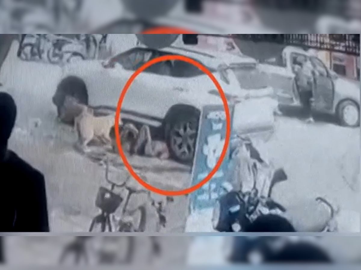 धक्कादायक VIDEO : पुण्यातील हिट अँड रन CCTV त कैद title=