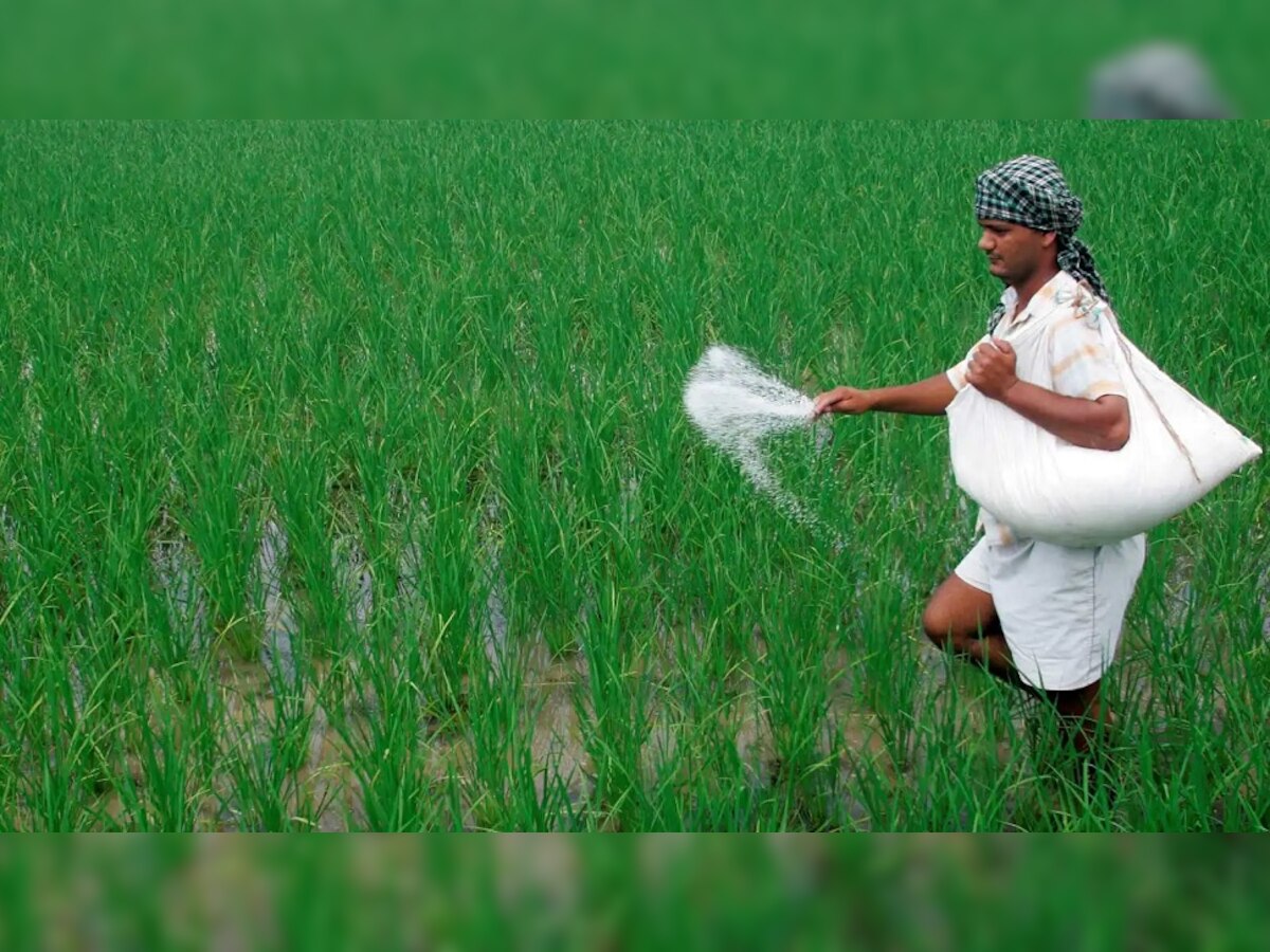 Fertilizer Subsidy | खतांच्या वाढत्या किंमतींच्या पार्श्वभूमीवर केंद्र सरकारचा मोठा निर्णय; शेतकऱ्यांना दिलासा title=