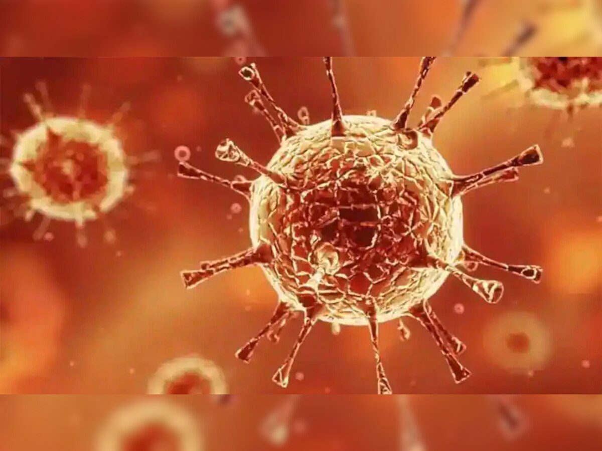 Coronavirus: अमेरिका कोरोनाच्या विळख्यातून मुक्त? तज्ज्ञांचा मोठा दावा title=