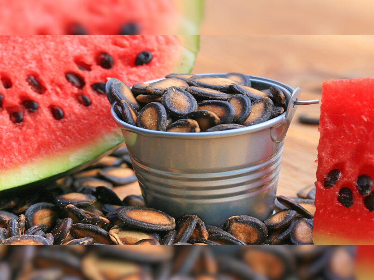 Watermelon Seed's Benefits : टरबुजाच्या बिया खाण्याचे अनेक आश्चर्यकारक फायदे title=