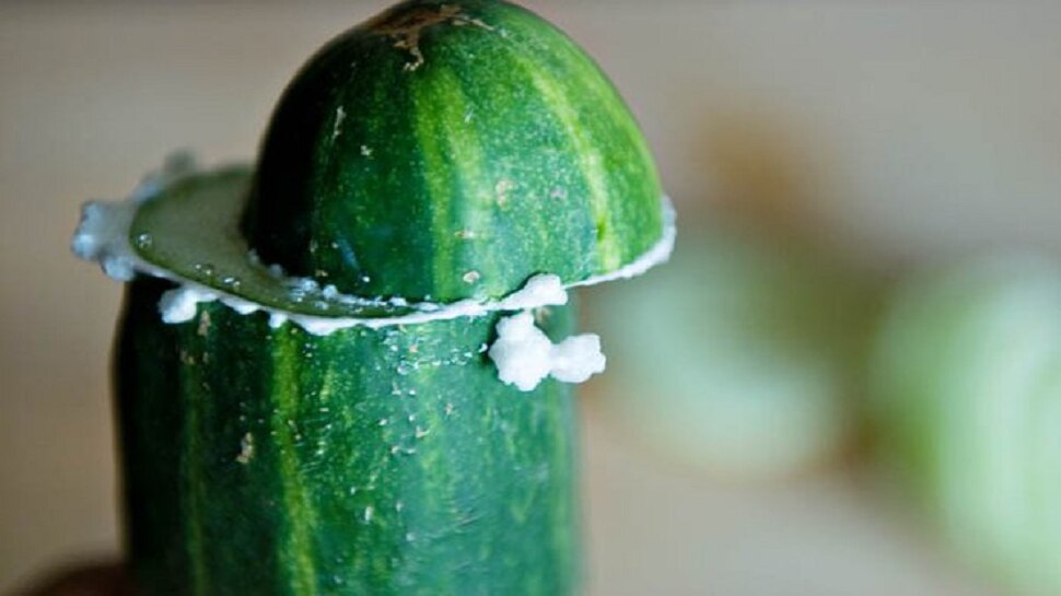 fact-about-cucumber-does-rubbing-cucumber-end-is-useful-to-remove