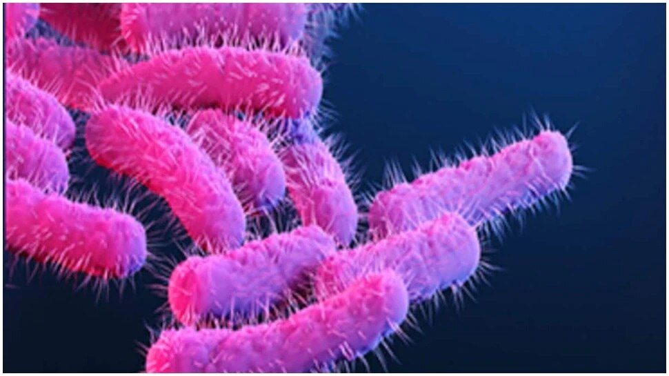 Kerala food poisoning case Shigella Infection, food poisoning Deadly