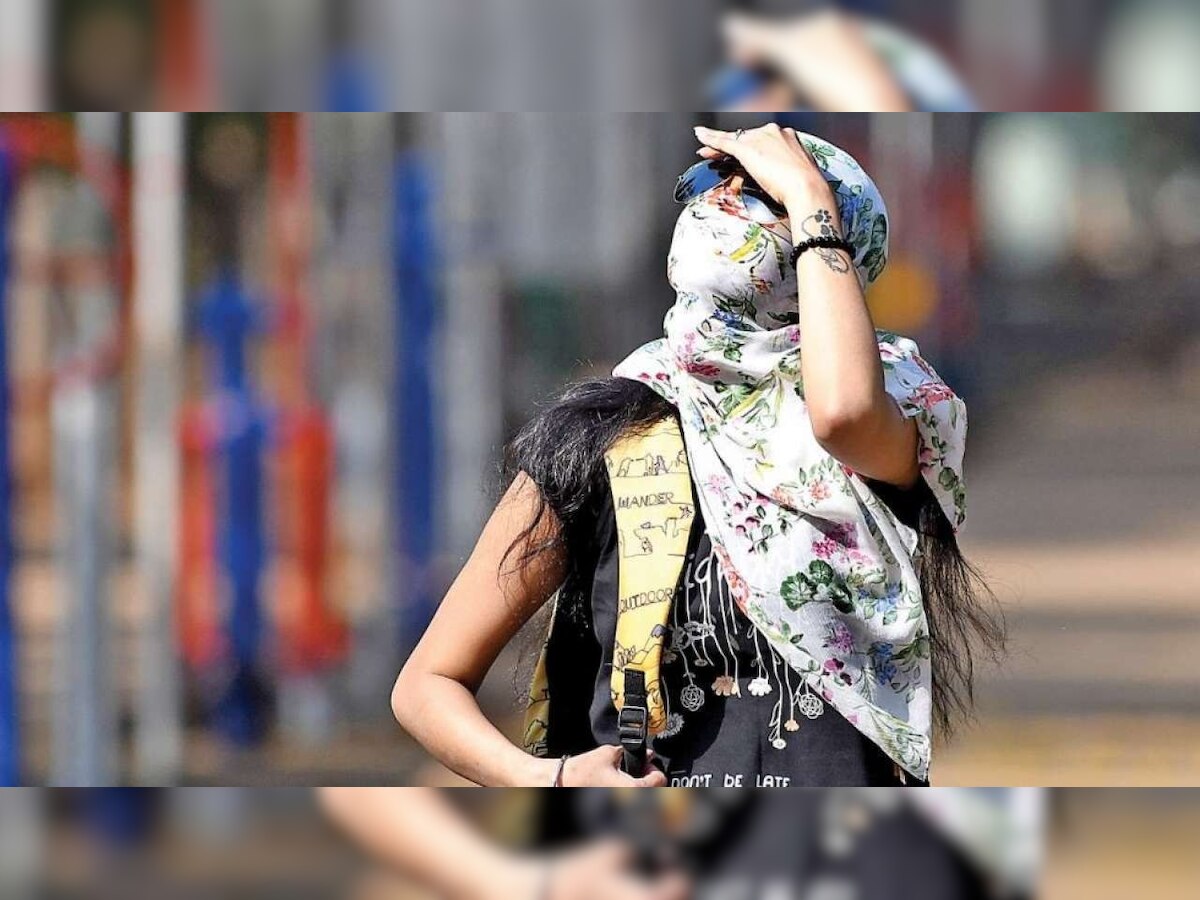 Heat Wave Alert : विदर्भात पुढचे 4 दिवस उष्णतेची तीव्र लाट येणार- IMD title=