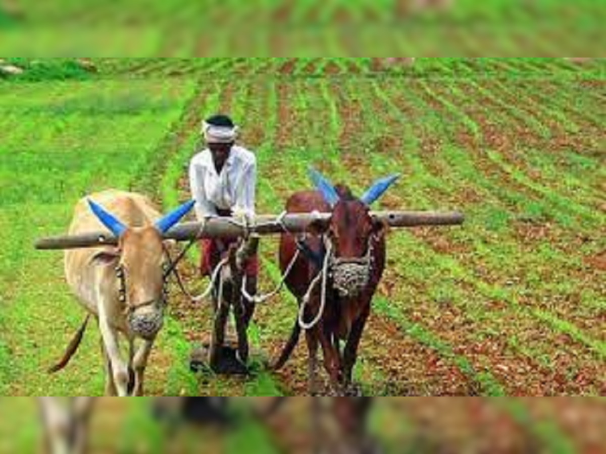 शेतकऱ्यांसाठी आनंदाची बातमी! सरकार ही योजना पुन्हा सूरू करणार   title=