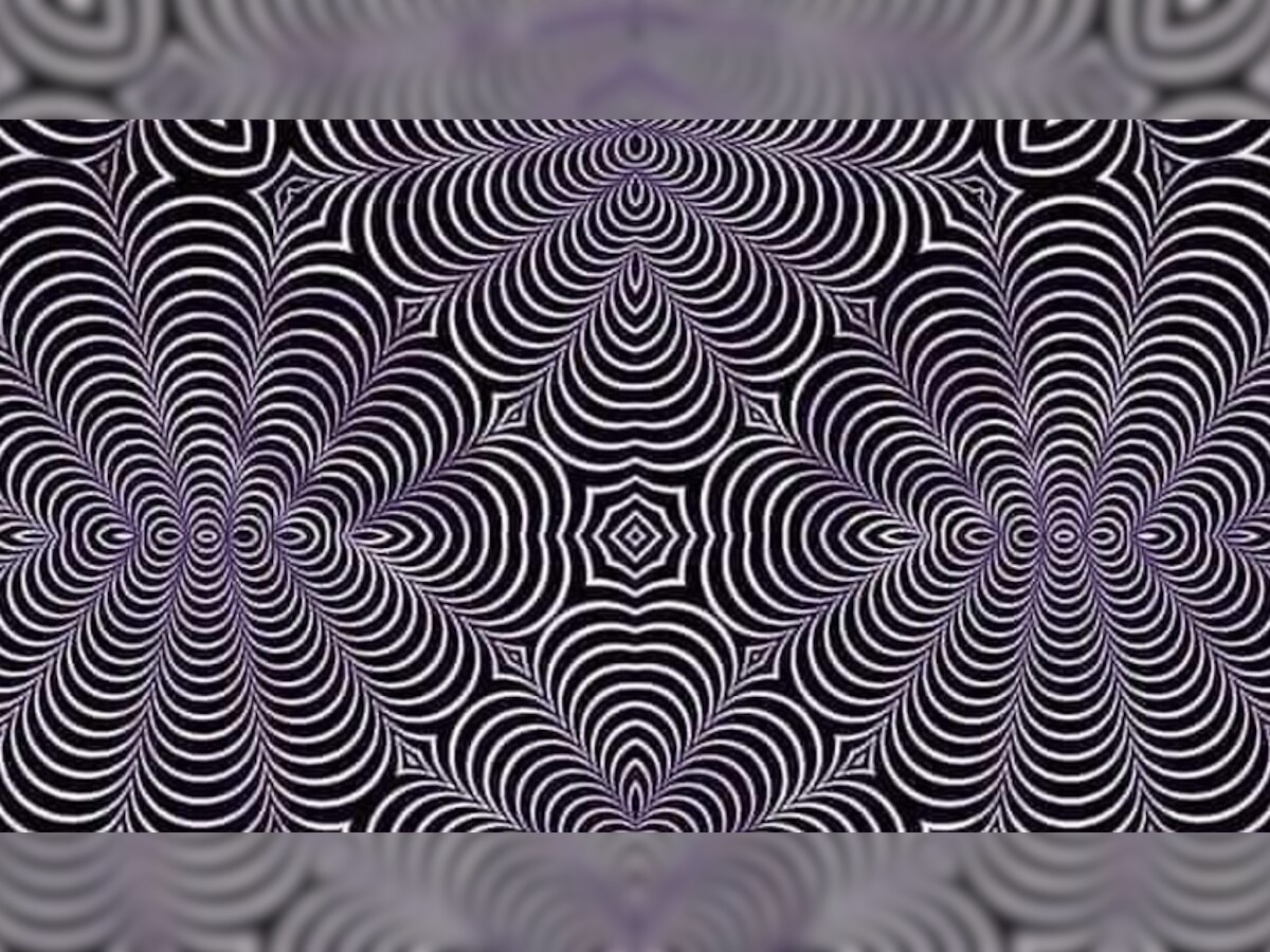 Optical Illusion : तुम्ही हुशार असाल, तर सांगा 'या' फोटोमध्ये नक्की लपलंय काय? title=