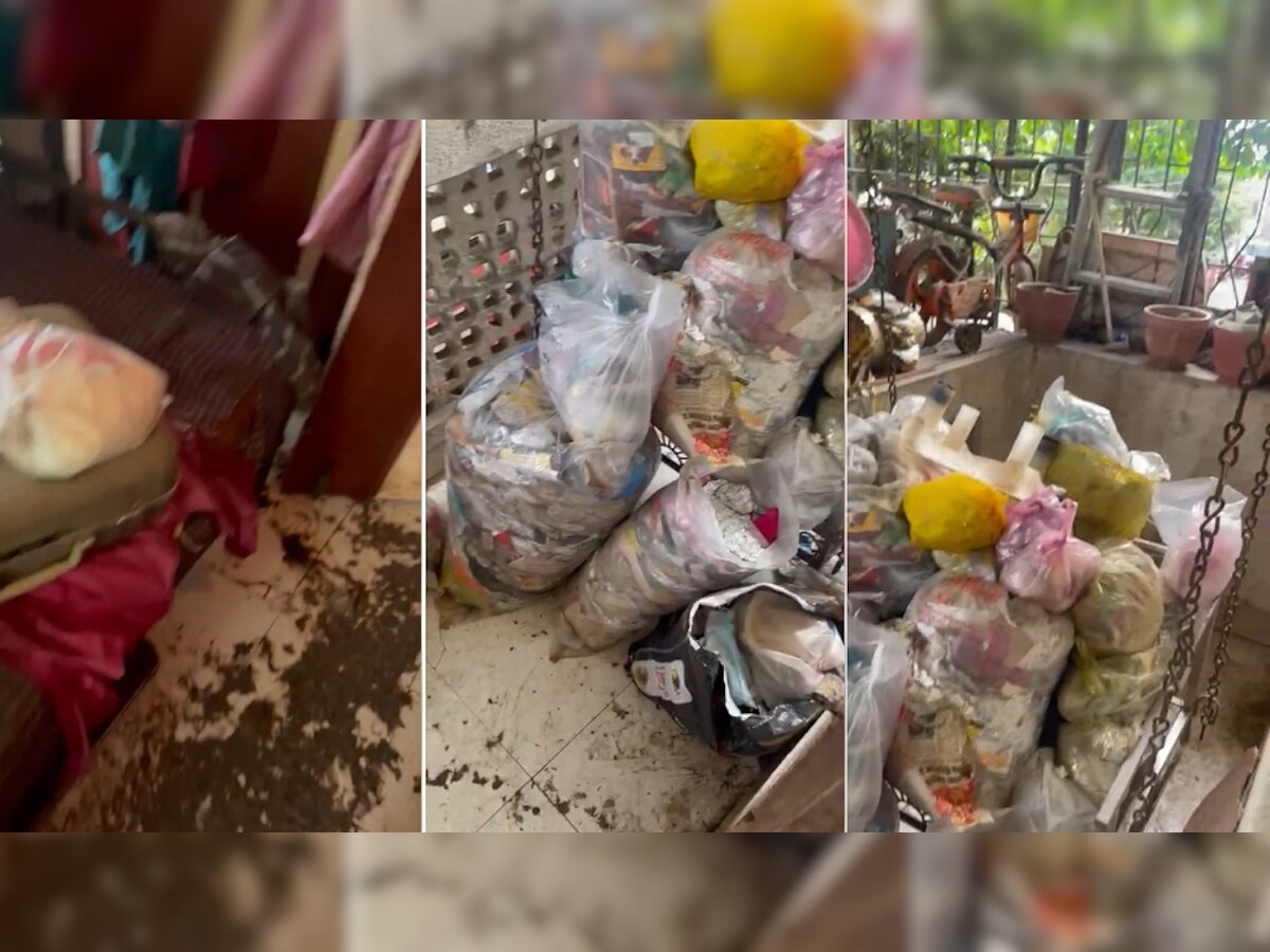 चिमुकल्याला 2 वर्षे 22 भटक्या कुत्र्यांसोबत ठेवणाऱ्या आई-वडिलांना अटक, घरात सापडला 10 बॅगा कचरा title=