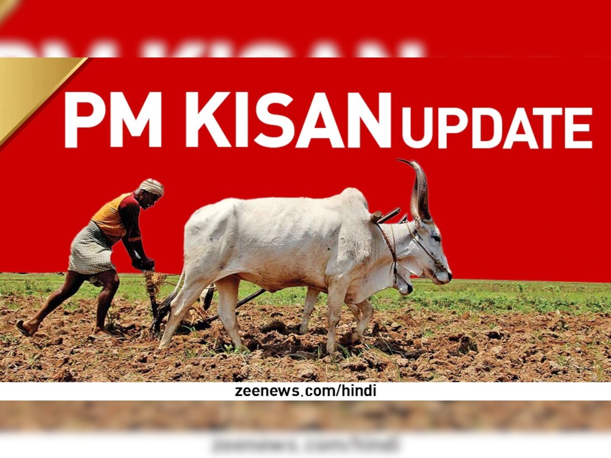 PM Kisan योजनेच्या लाभार्थ्यांसाठी मोठी बातमी; या तारखेला येणार शेतकऱ्यांच्या खात्यात पैसे title=