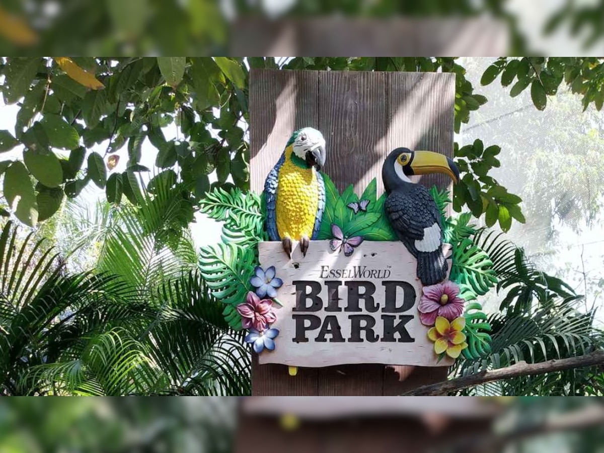  Essel World Bird Park Reopen | भारतातील पहिले विदेशी पक्षी उद्यान नागरिकांसाठी होणार खुले, 500 पक्ष्यांच्या प्रजातींना येणार पाहता  title=