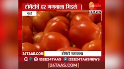 टोमॅटोचे दर गगनाला भिडले