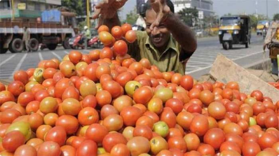 due to heavy shortage of of tomatoes in Maharashtra prices range from