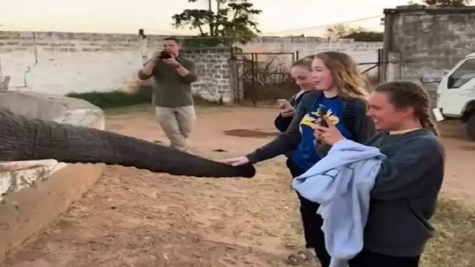 elephant slap attacked women for capter photo video viral on social media