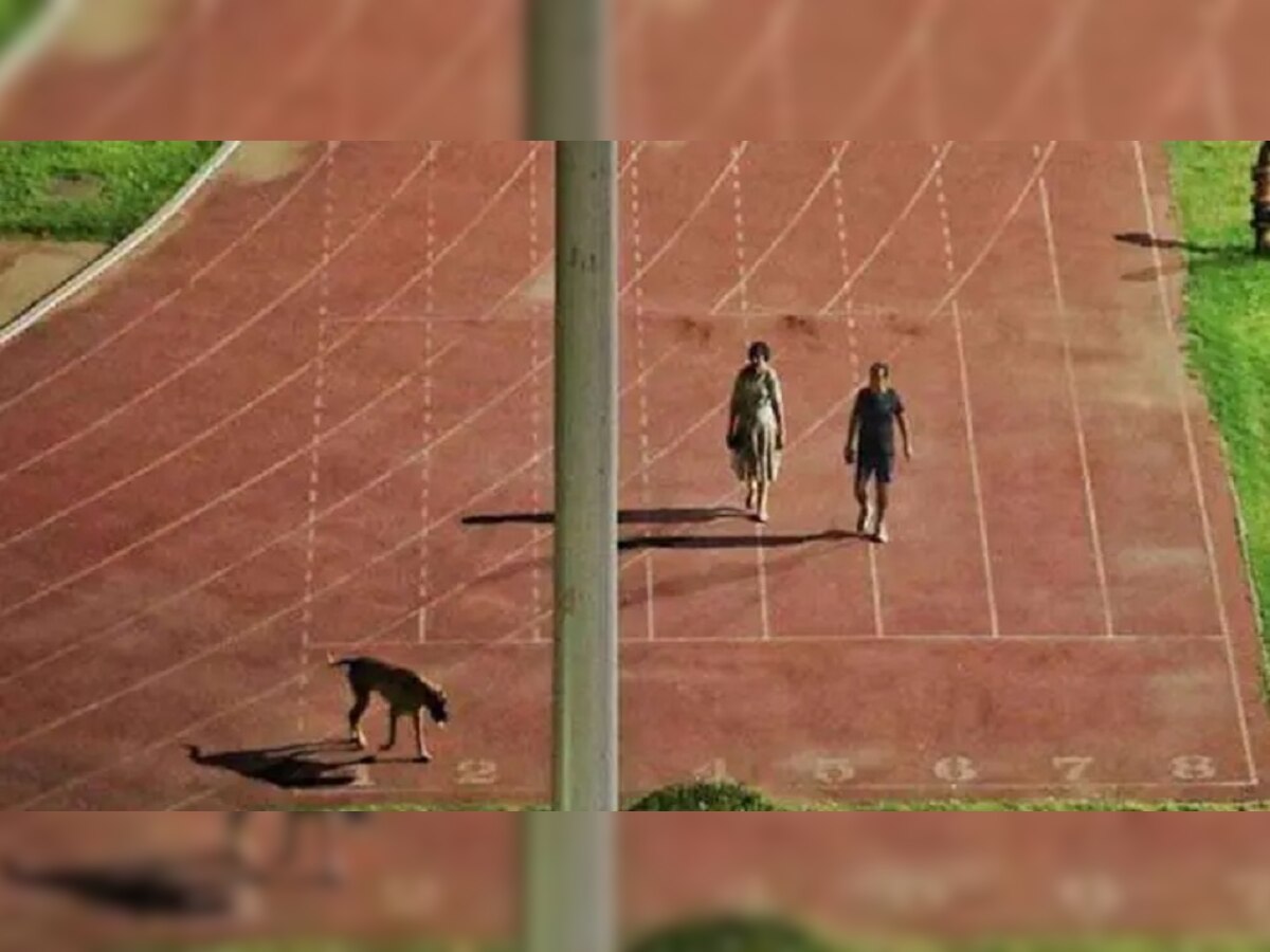 Dog Walking Stadium: एका श्वानामुळं IAS अधिकाऱ्याची रखरखाट असणाऱ्या प्रदेशात बदली, नेमकं प्रकरण काय?  title=