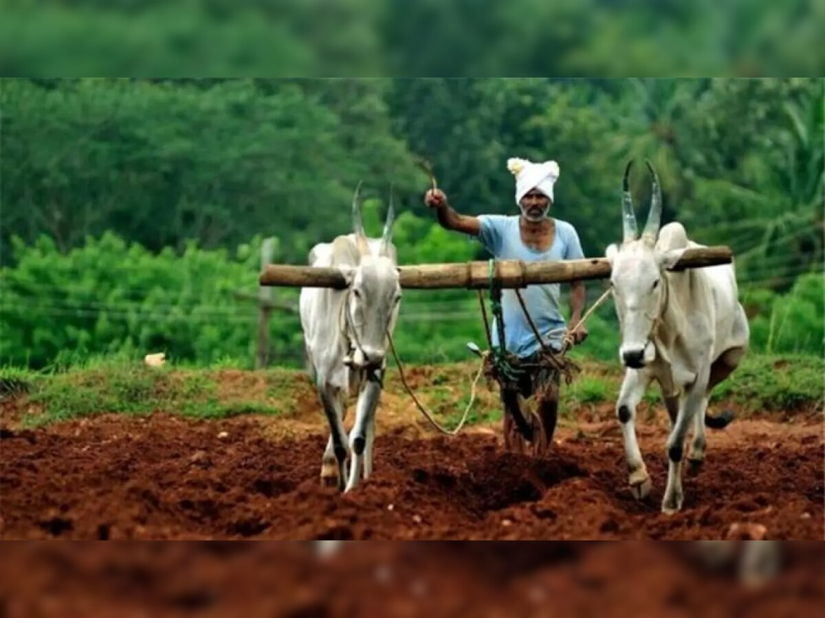 PM Kisan योजनेचा 11 हप्ता 'या' दिवशी खात्यात होणार जमा; लवकरच पूर्ण करा हे काम title=