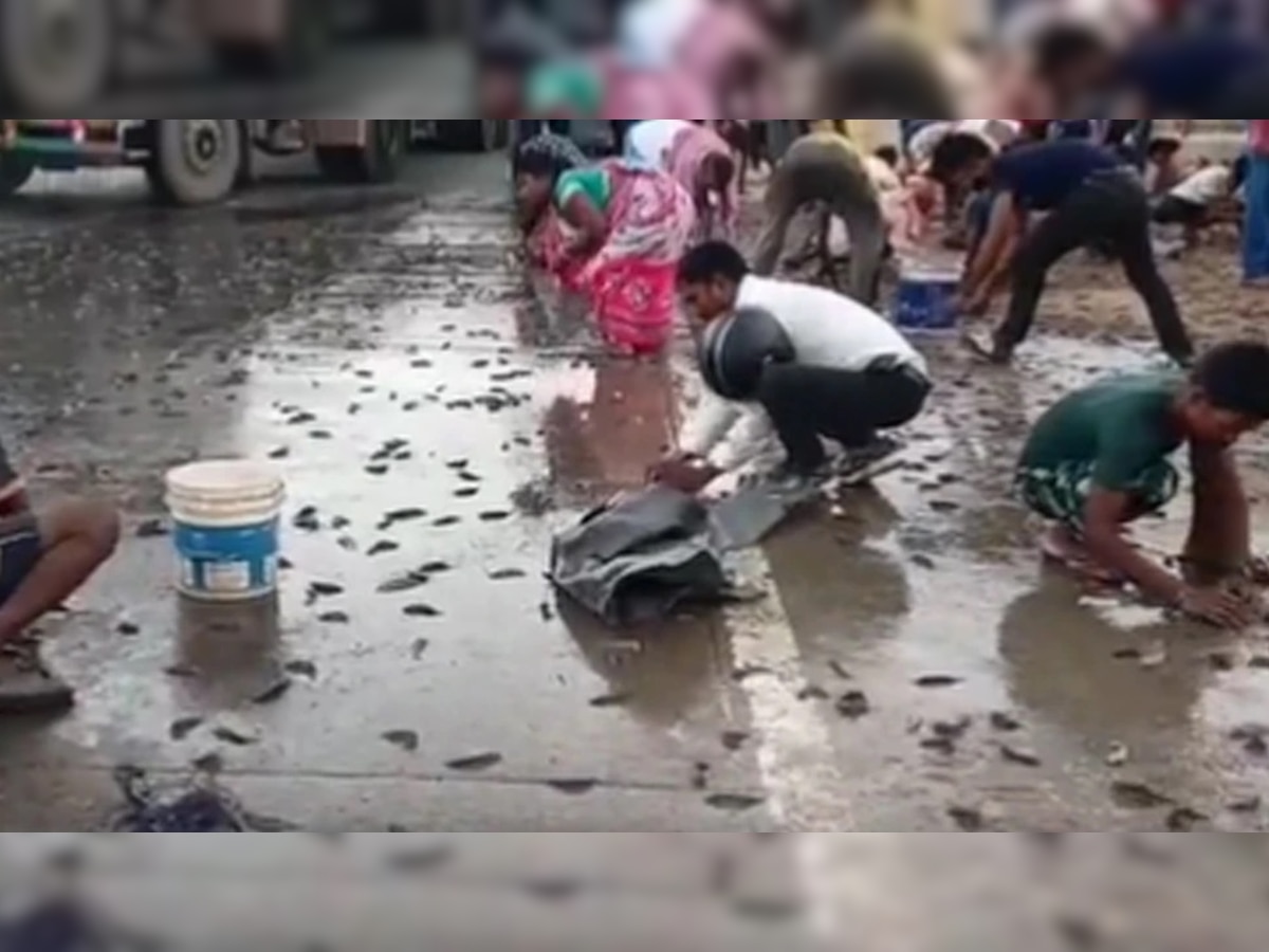 Fish Rain Video: आकाशातून पडला माशांचा पाऊस! काय आहे खरं कारण जाणून घ्या  title=