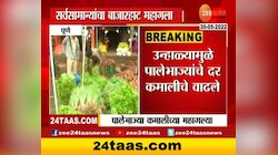 पालेभाज्या महागल्या, शेतकरी मात्र चिंतेत 