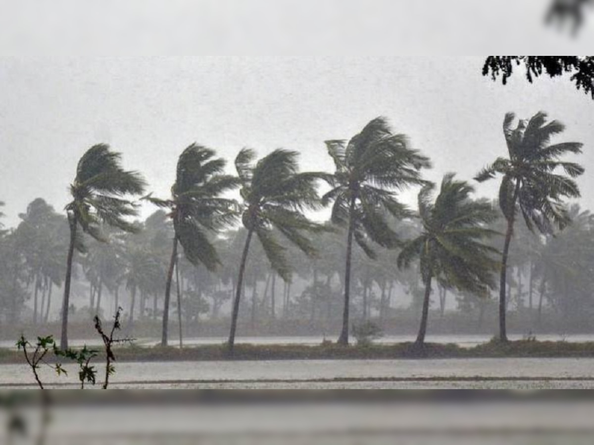 Weather Report | मान्सून अखेर केरळात दाखल; लवकरच महाराष्ट्रतही सरी... title=