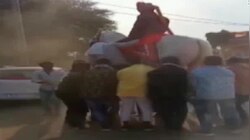Fact Check | घोड्यासकटच नवरदेवाला उचलून गरागरा फिरवलं