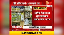 कापसाच्या बियाणाच्या किंमतीत 6 टक्क्यांनी वाढ 