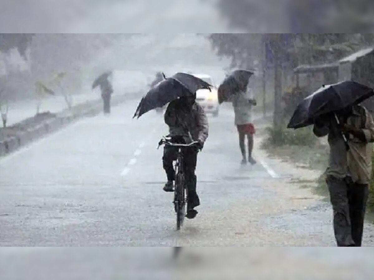 Monsoon Update : राज्यातील 'या' जिल्ह्यांमध्ये अतिमुसळधार पावसाचा इशारा title=