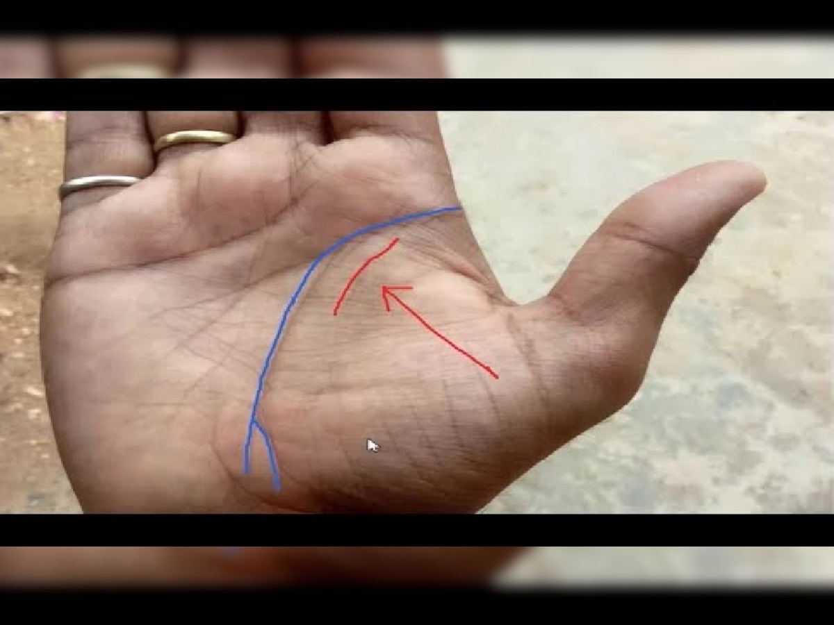 Palmistry: भाग्यवान लोकांच्या हातात असते अशी  रेषा, रातोरात बनतात कोट्यधीश! title=