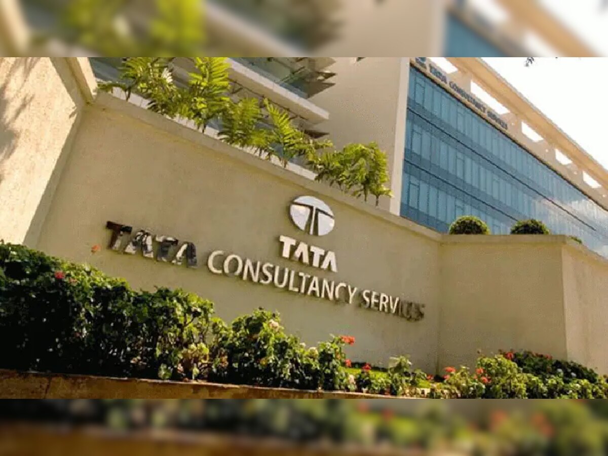 TCS कंपनीकडून तरुणांना संधी, हे उमेदवार इंटर्नशिपसाठी करु शकतात अर्ज, जाणून घ्या माहिती title=