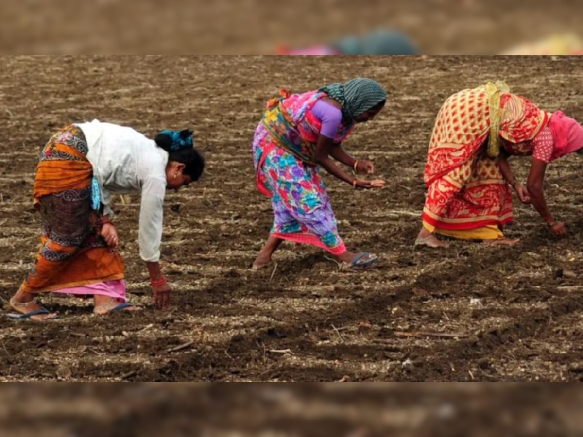 असमाधानकारक पावसामुळे राज्यातील पेरण्या खोळंबल्या; भाज्या आणि शेतमालाच्या किंमती कडाडणार title=