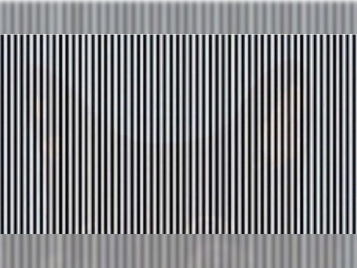 Optical Illusion : काळ्या-पांढऱ्या रेषांमध्ये तुम्हाला नेमकं काय दिसतंय? 99.99 टक्के लोकं चुकलेत! title=