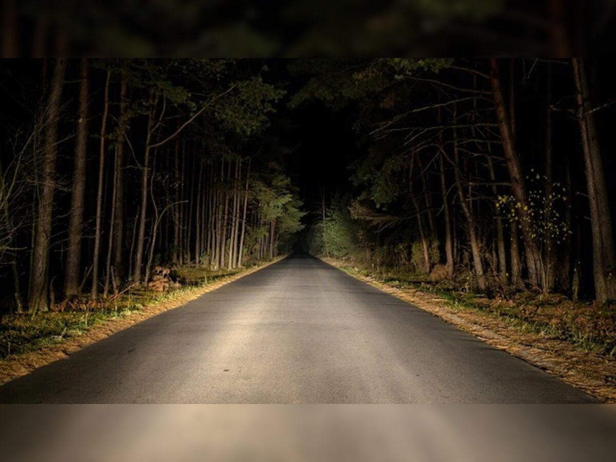Haunted Road: 'हे' आहेत भारतातील झपाटलेले रस्ते! येथे लोकं दिवसाही जात नाही title=