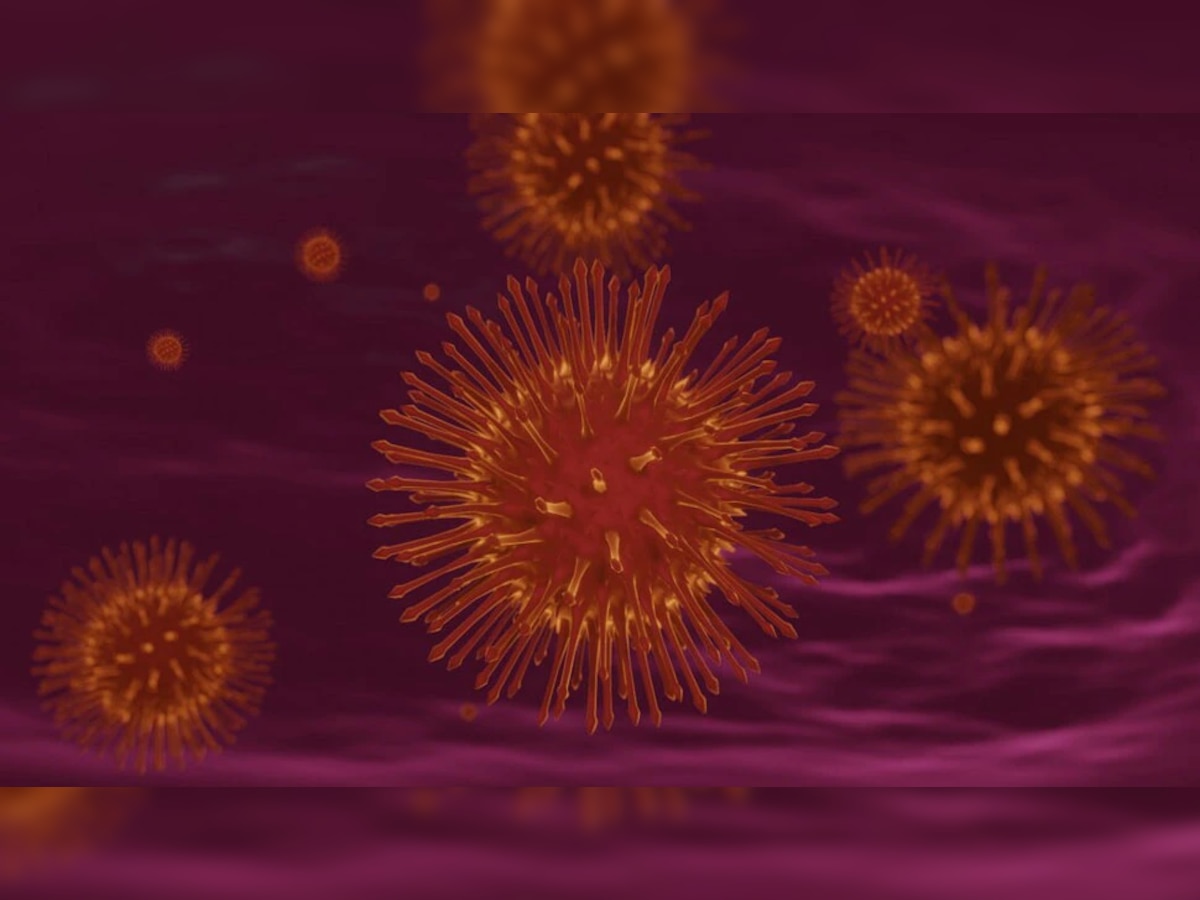 कोरोना आणि इबोलापेक्षाही वेगाने पसरतोय 'हा' व्हायरस; याची लागण झाल्यास मृत्यू....! title=