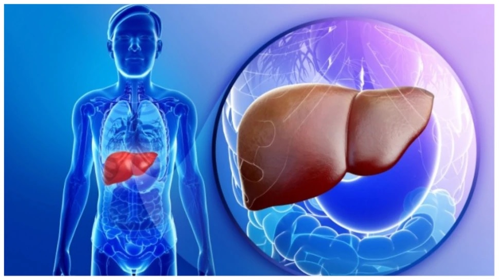 What Causes Permanent Liver Damage