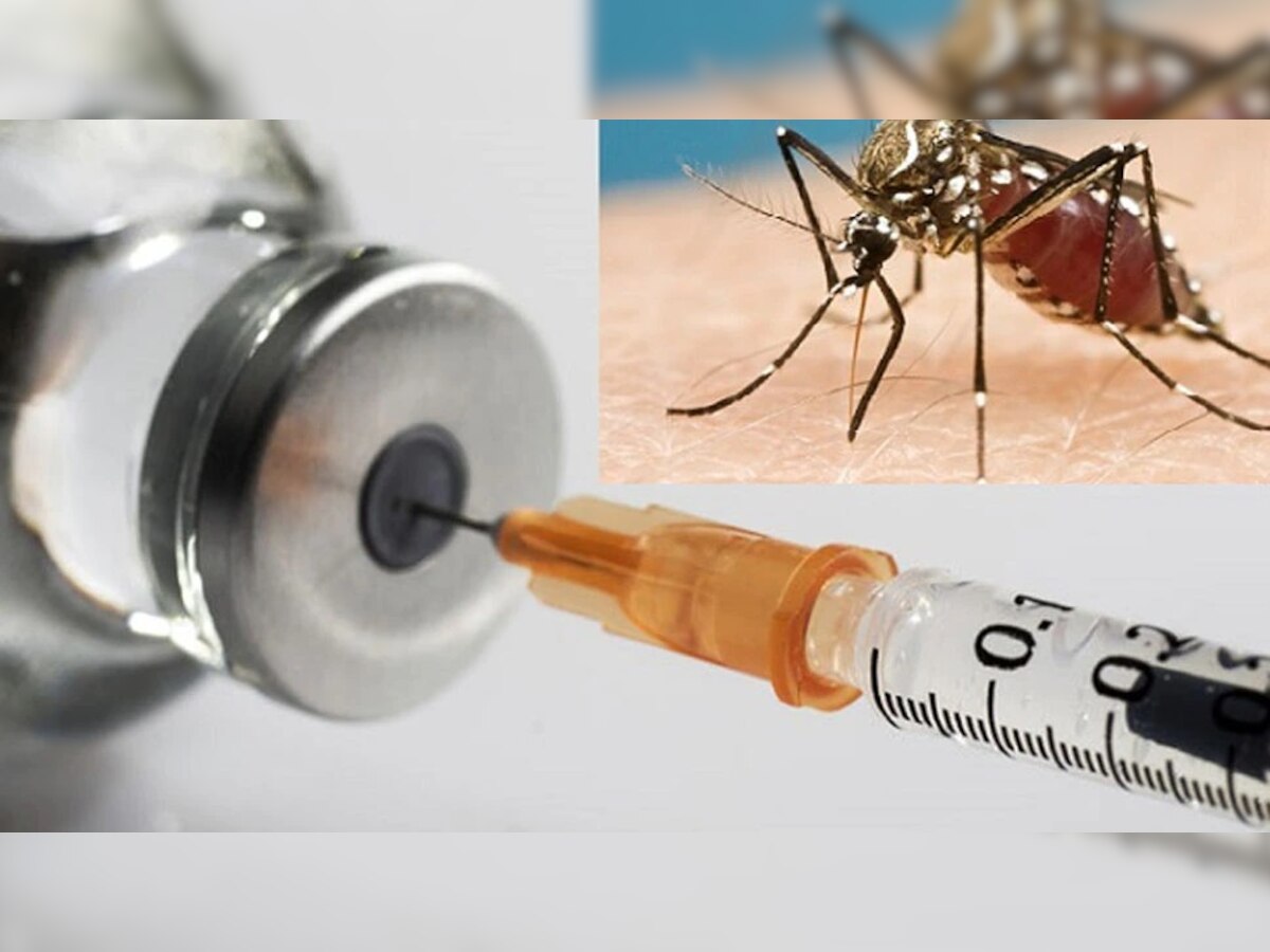 Anti Malaria Vaccine: मोठे यश, जगातील पहिली मलेरियाविरोधी लस तयार  title=