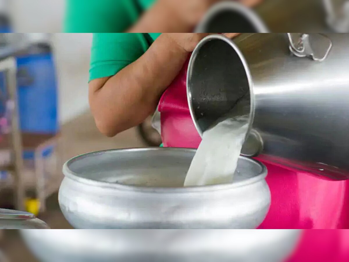 Adulterate Milk : तुम्हीही भेसळयुक्त दूध तर पीत नाही ना? ते कसं ओळखावं, जाणून घ्या title=