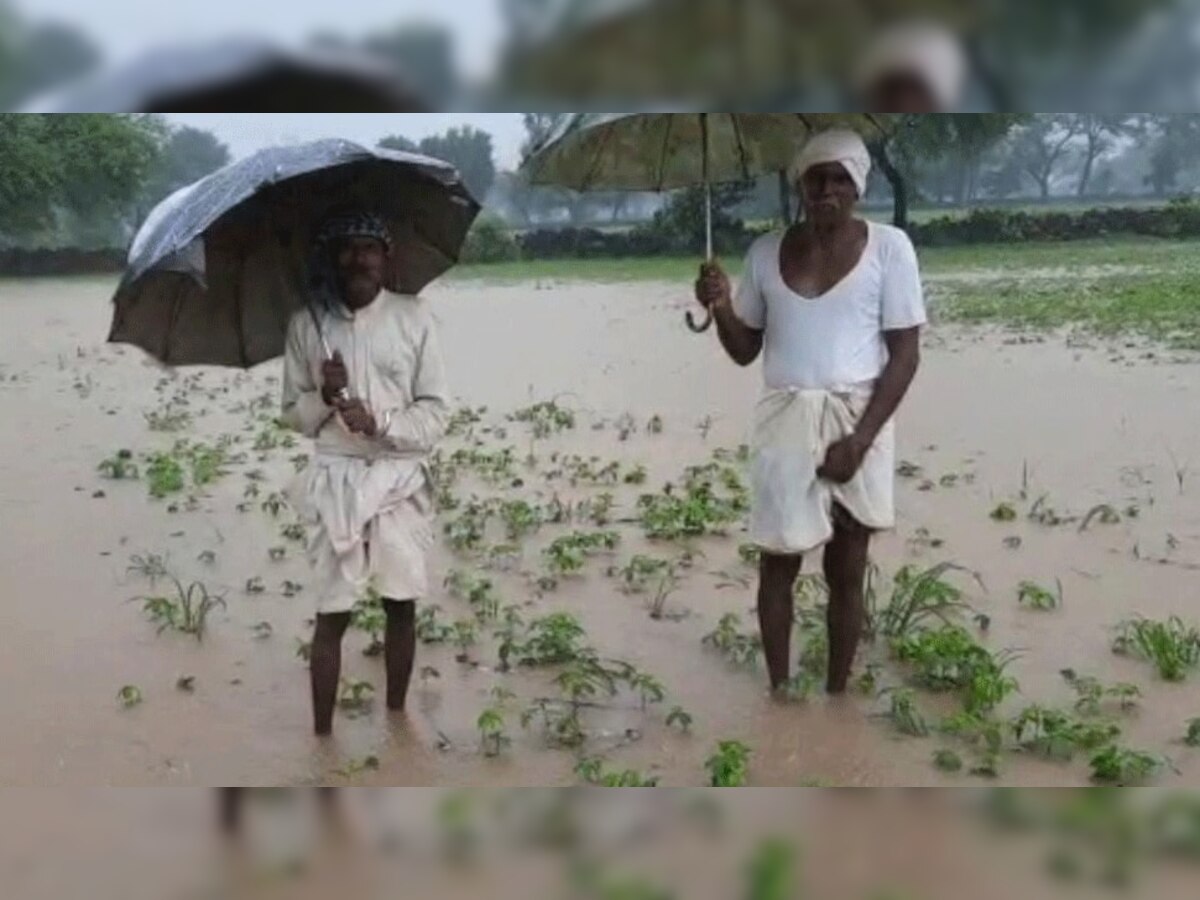 पश्चिम महाराष्ट्रसह 'या' जिल्ह्यांमध्ये कोसळधार! पाहा तुमच्या जिल्ह्यातील हवामान अपडेट्स title=