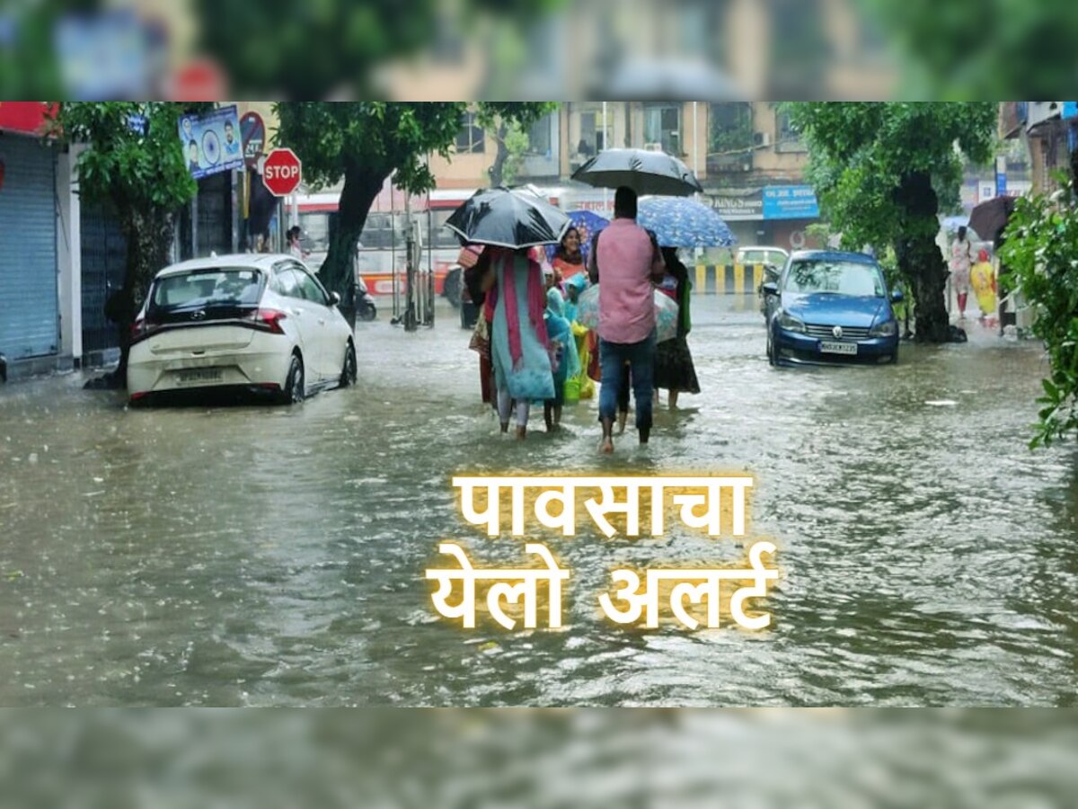 Rain News : राज्यात पुन्हा पाऊस सक्रीय होणार, दोन जिल्ह्यांना यलो अलर्ट title=