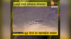 अमेरिका आणि चीन युद्ध झालं तर भारतावर काय परिणाम होणार?