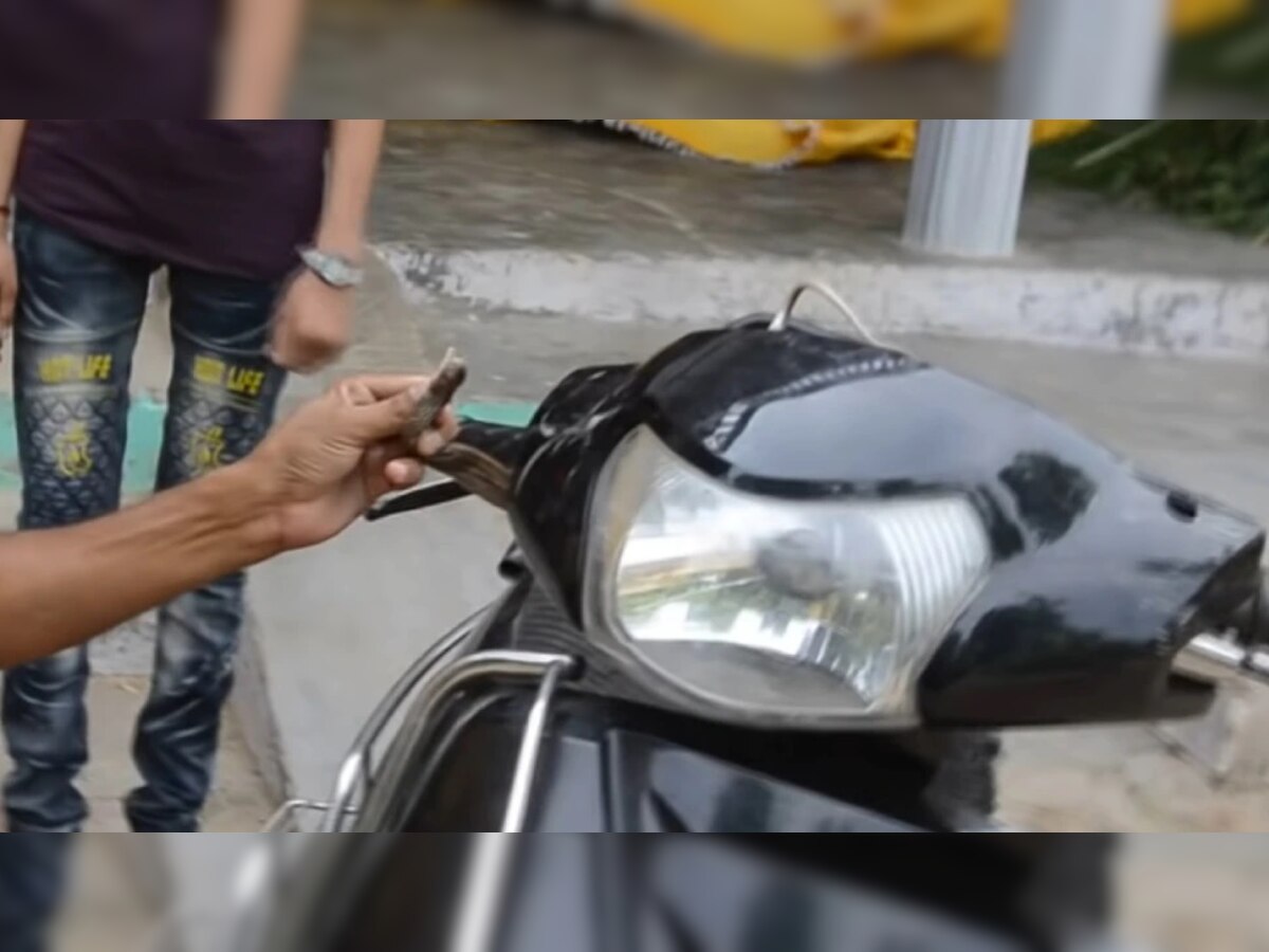 Auto Tips: बाइक, स्कूटर किंवा कारमध्ये साप घुसला तर 'या' तीन बाबी करा, अन्यथा... title=