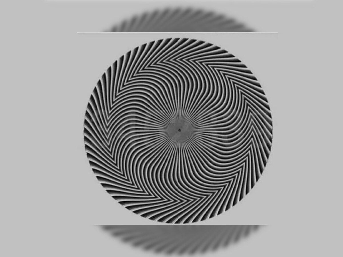 Optical Illusion: या फोटोत तुम्हाला कोणता नंबर दिसला? उत्तर वाचा आणि तुम्हीच ठरवा title=