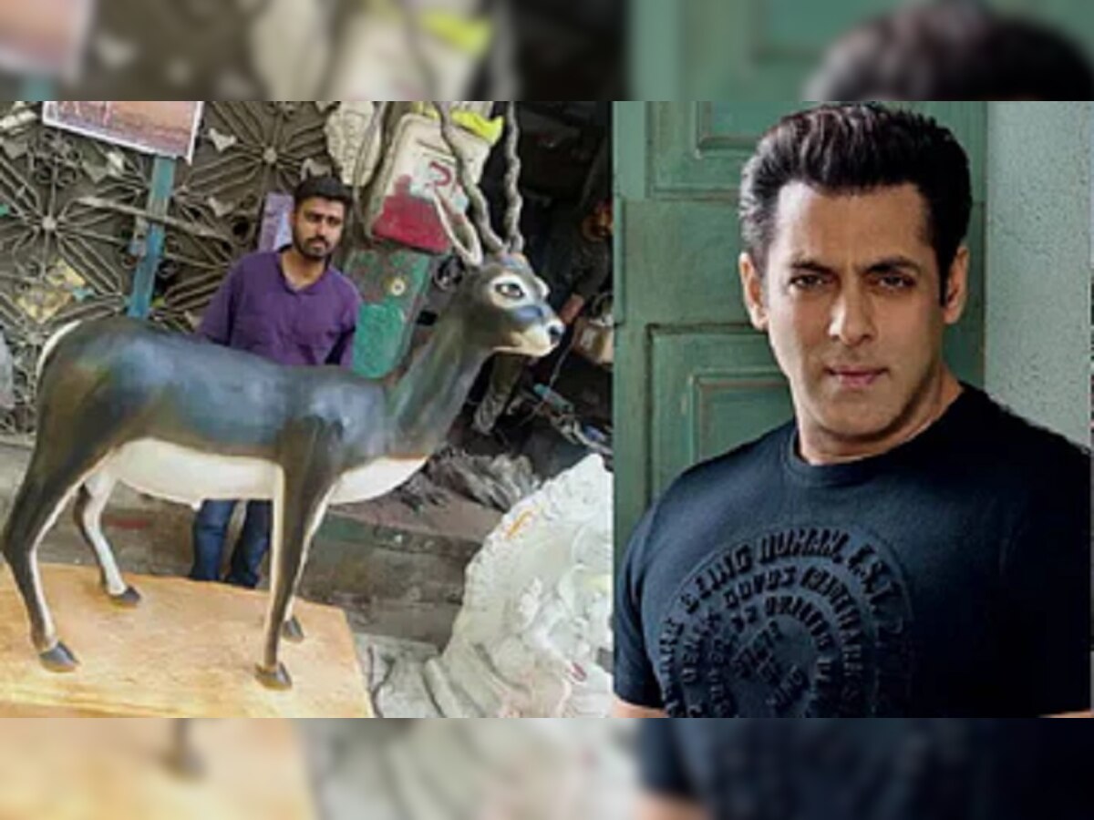 Salman Khan ने ज्या काळविटाला मारलं त्याचाचं गावकऱ्यांनी उभारला पुतळा title=