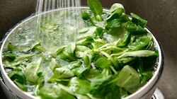 Kitchen Hacks: अशापद्धतीने कधीही धुवू नका पालोभाज्या, नाहीतर फायद्याएवजी होईल तुमचं नुकसान