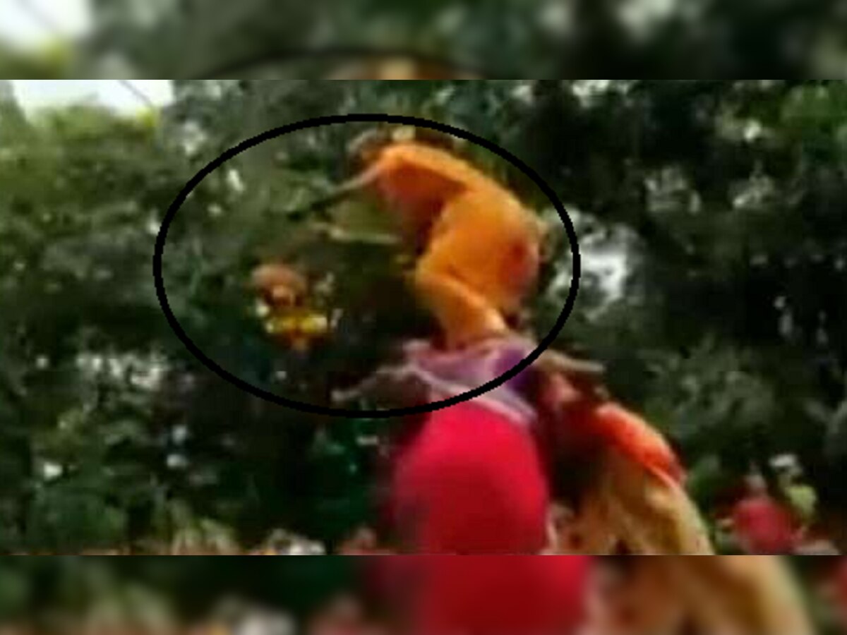 Viral Video : आजीबाईची कमाल, चक्क तिसऱ्या थरावर चढत फोडली हंडी title=