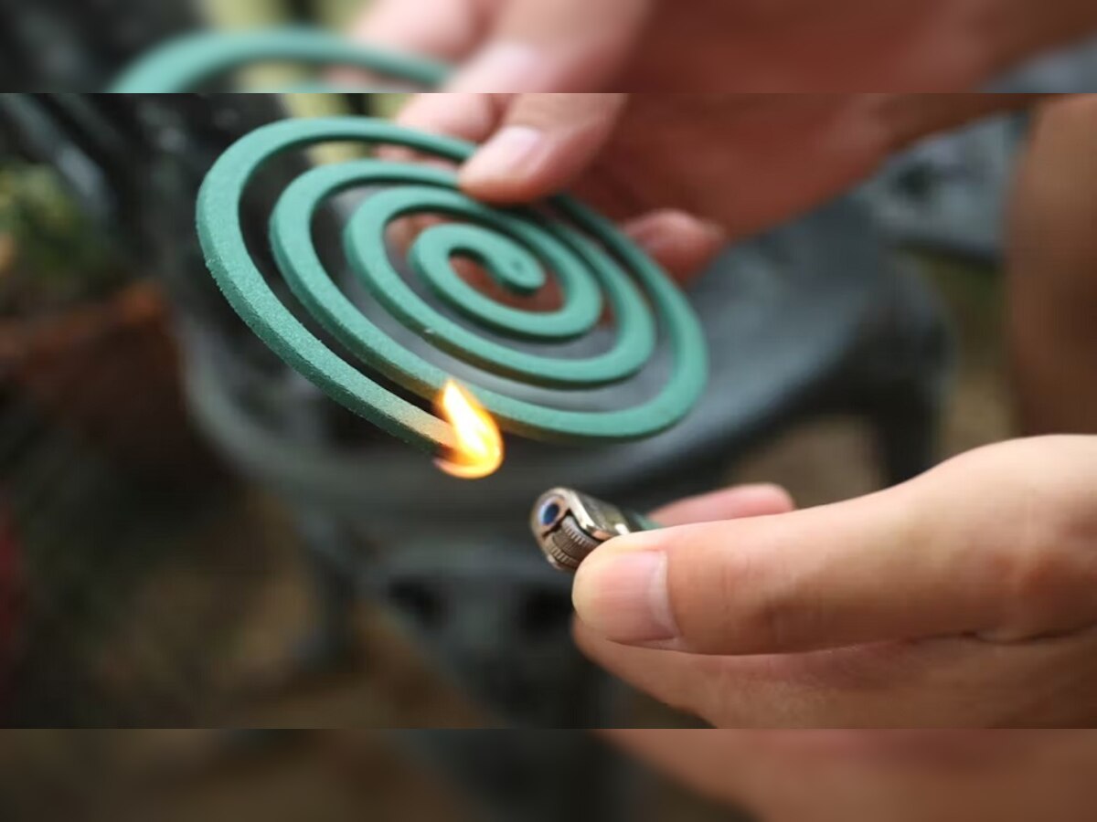 Mosquito coil : सावधान! तुम्ही डासांसाठी घरात ही कॉइल लावता का? जाणून घ्या आरोग्यासाठी किती घातक आहे… title=