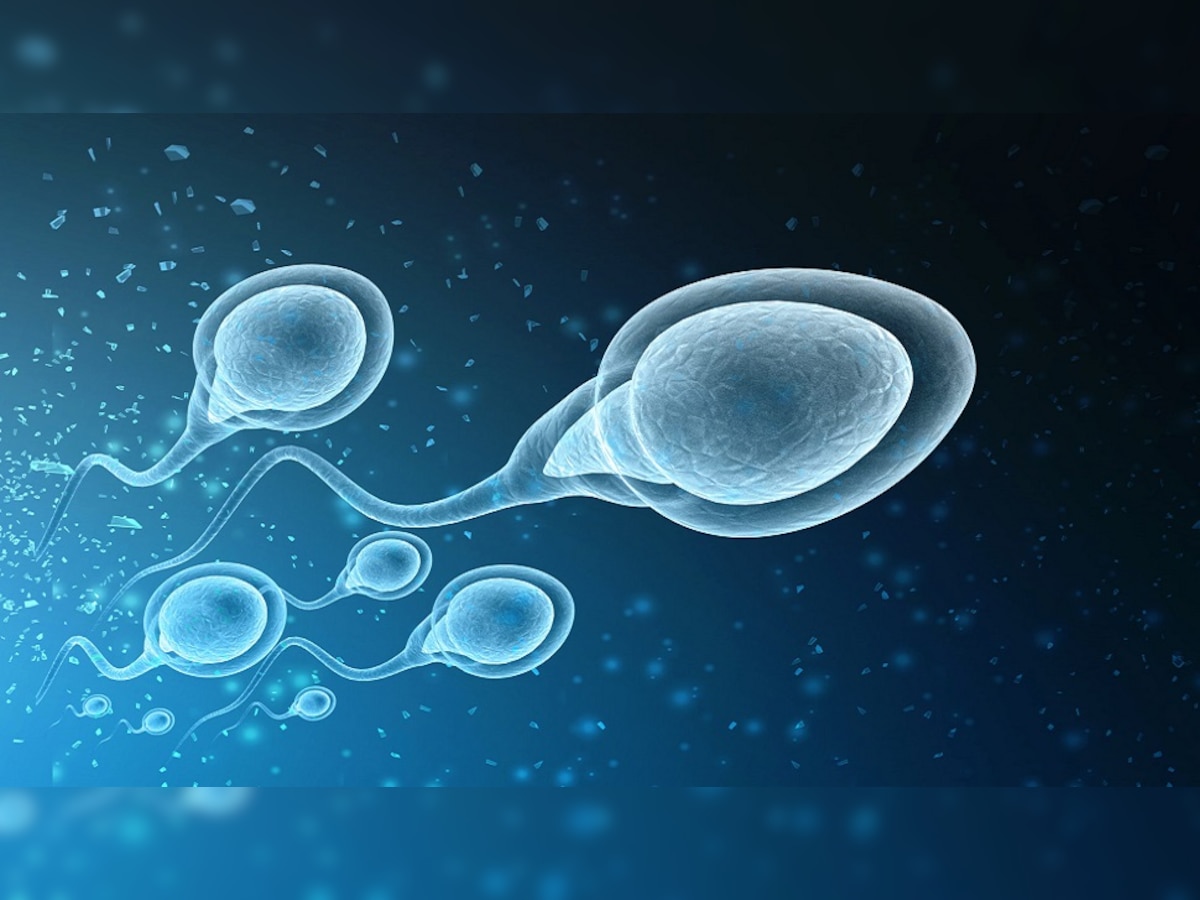 Low Sperm Count: शुक्राणूंची कमतरता असेल तरीही घरात पाळणा हलेल, या पद्धतीबाबत ऐकलंत का? title=