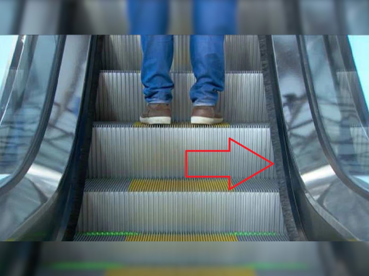 Escalator च्या किनाऱ्याला का असतात हे ब्रश? 99 % स्कॉलरही उत्तर देण्यात अपयशी  title=