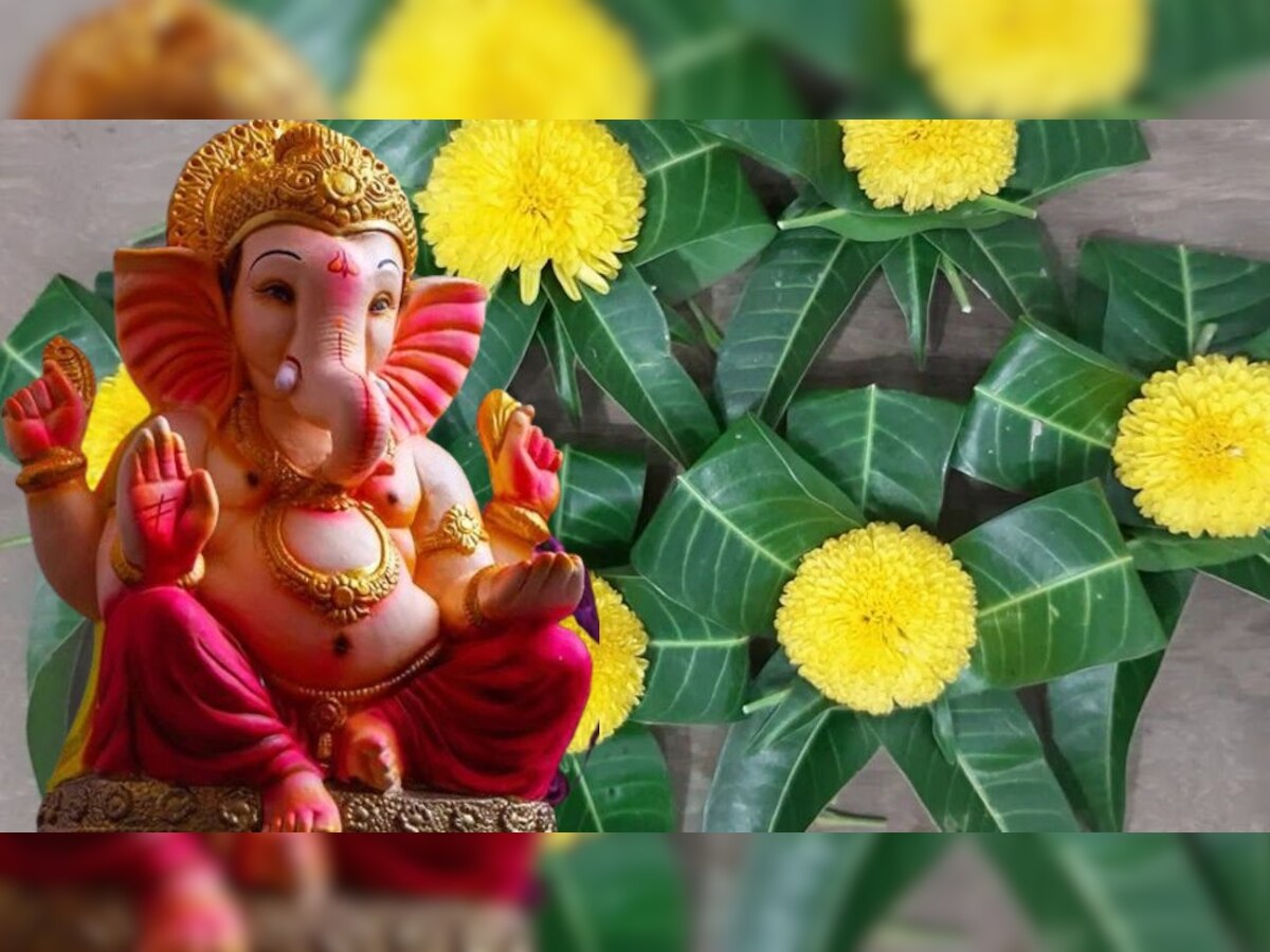 Ganesh Chaturthi : गणेश चतुर्थीला आंब्याच्या पानांचा असा करा वापर, बाप्पाच्या कृपेने व्हाल लखपती title=