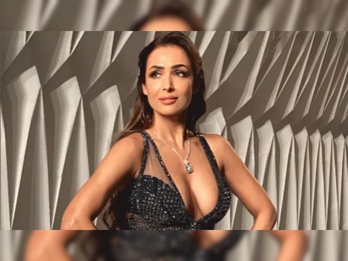 'सलमान खानने मला...', घटस्फोटानंतर कोणावर संतापली Malaika Arora? मोठं सत्य समोर  title=