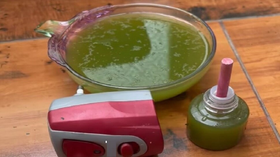 neem water and camphor makes natural mosquito repellent liquid know