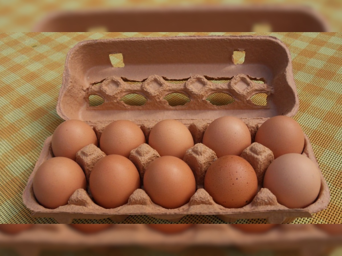 अंडी ताजी की शिळी; कशी ओळखायची? झटपट समजून घ्या 'या' सोप्या पद्धती title=